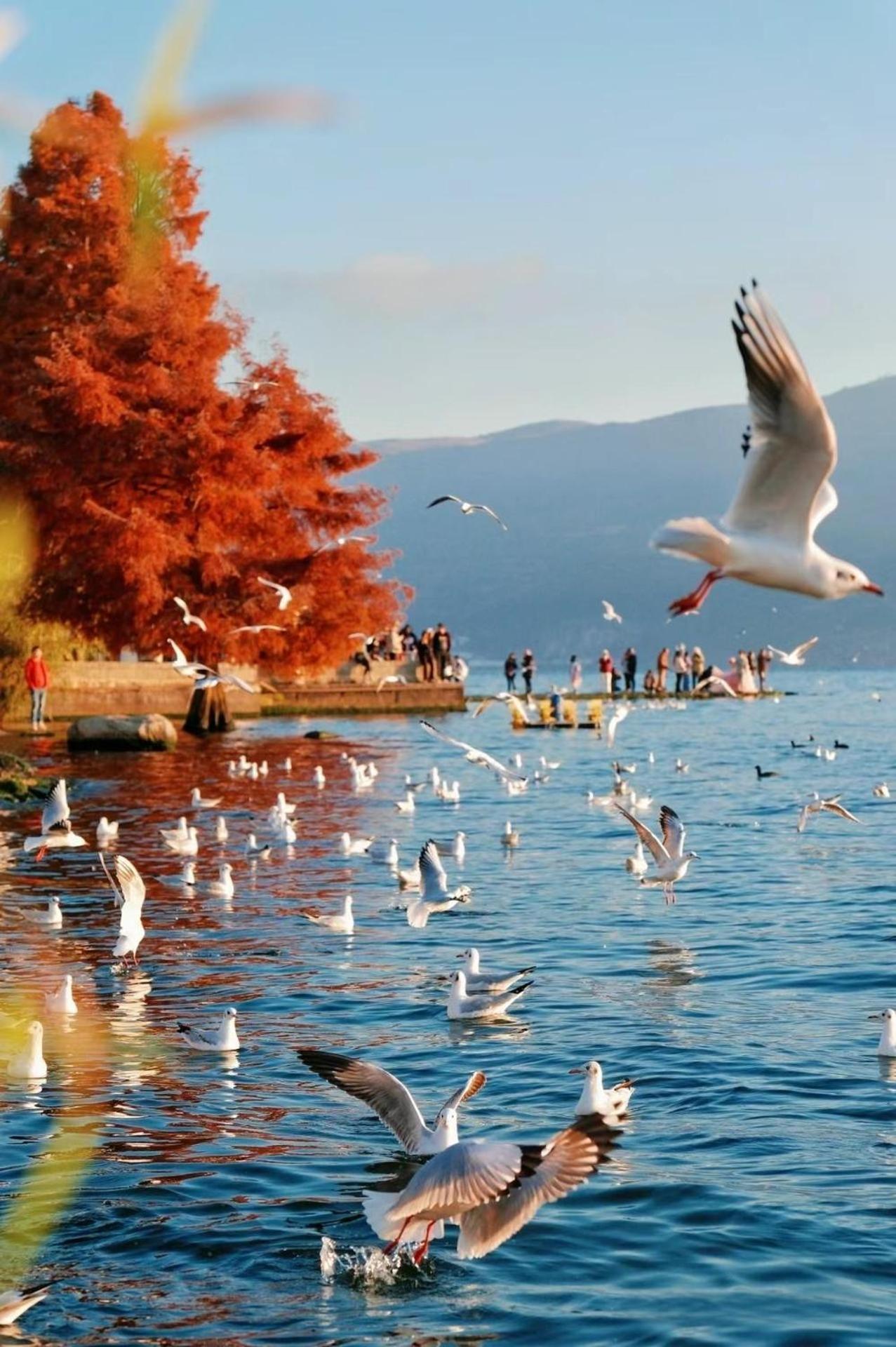 Dali Nest Secret Garden Lake View Inn Екстер'єр фото