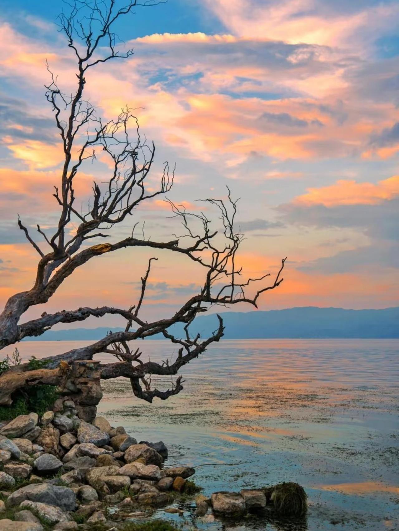 Dali Nest Secret Garden Lake View Inn Екстер'єр фото